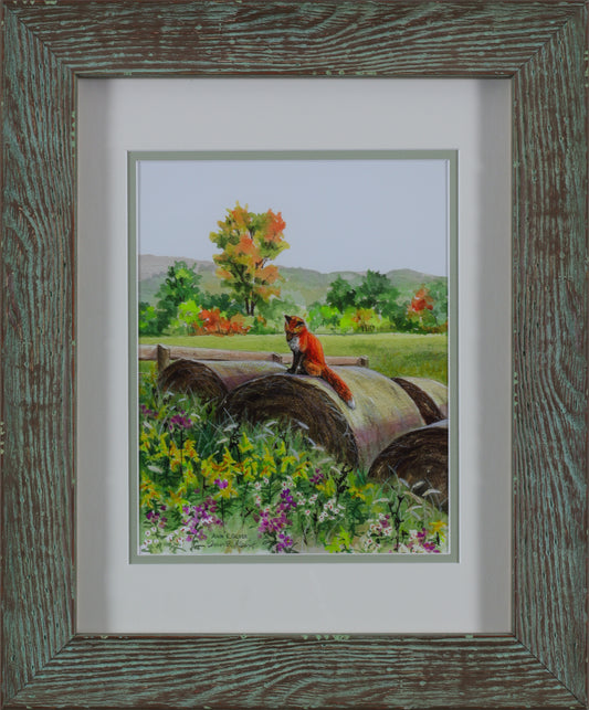 Red Fox on Bale by Ann Geise