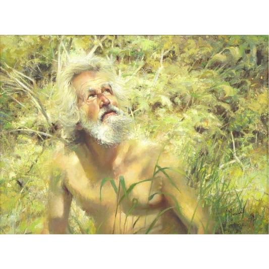 Seeking Wisdom by Chuck Marshall