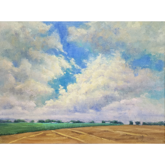 Ohio Sky by Ann M Jenemann