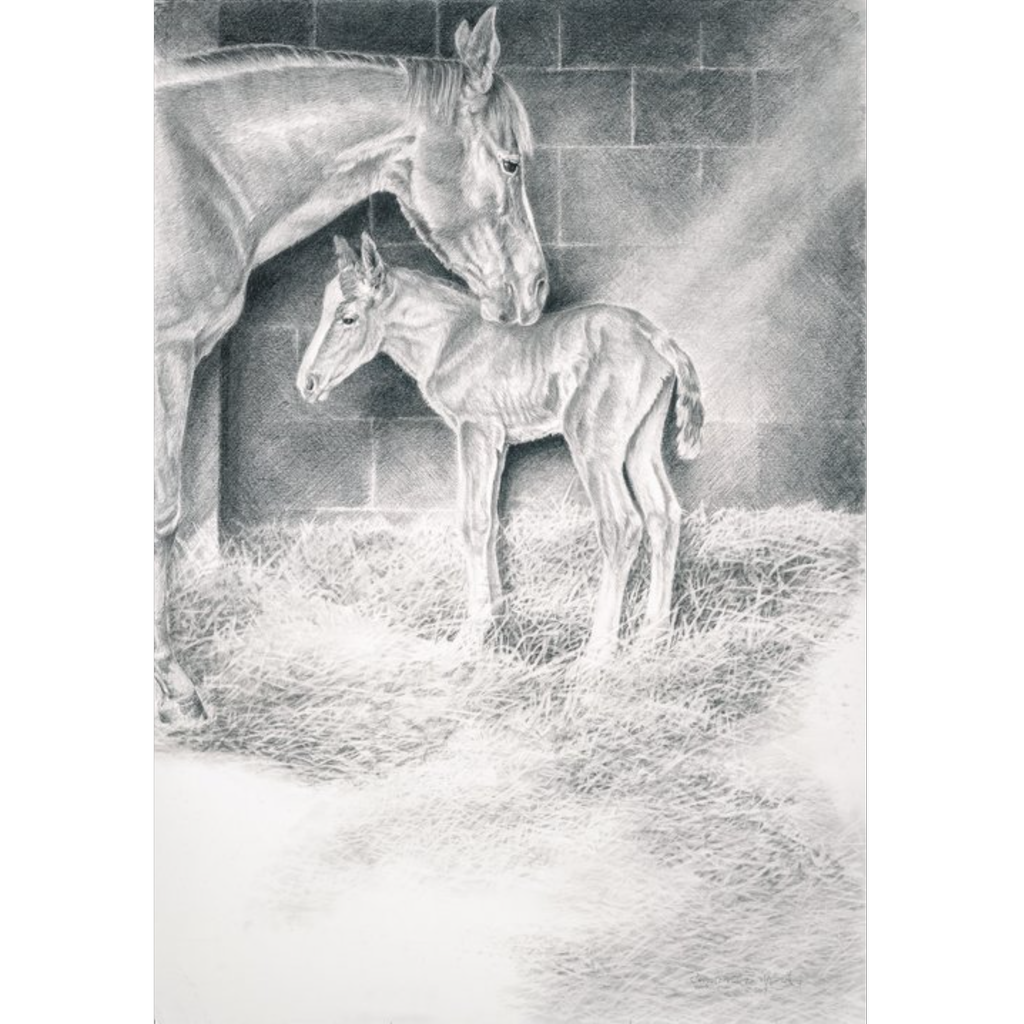 Spring Foal by Chris Walden