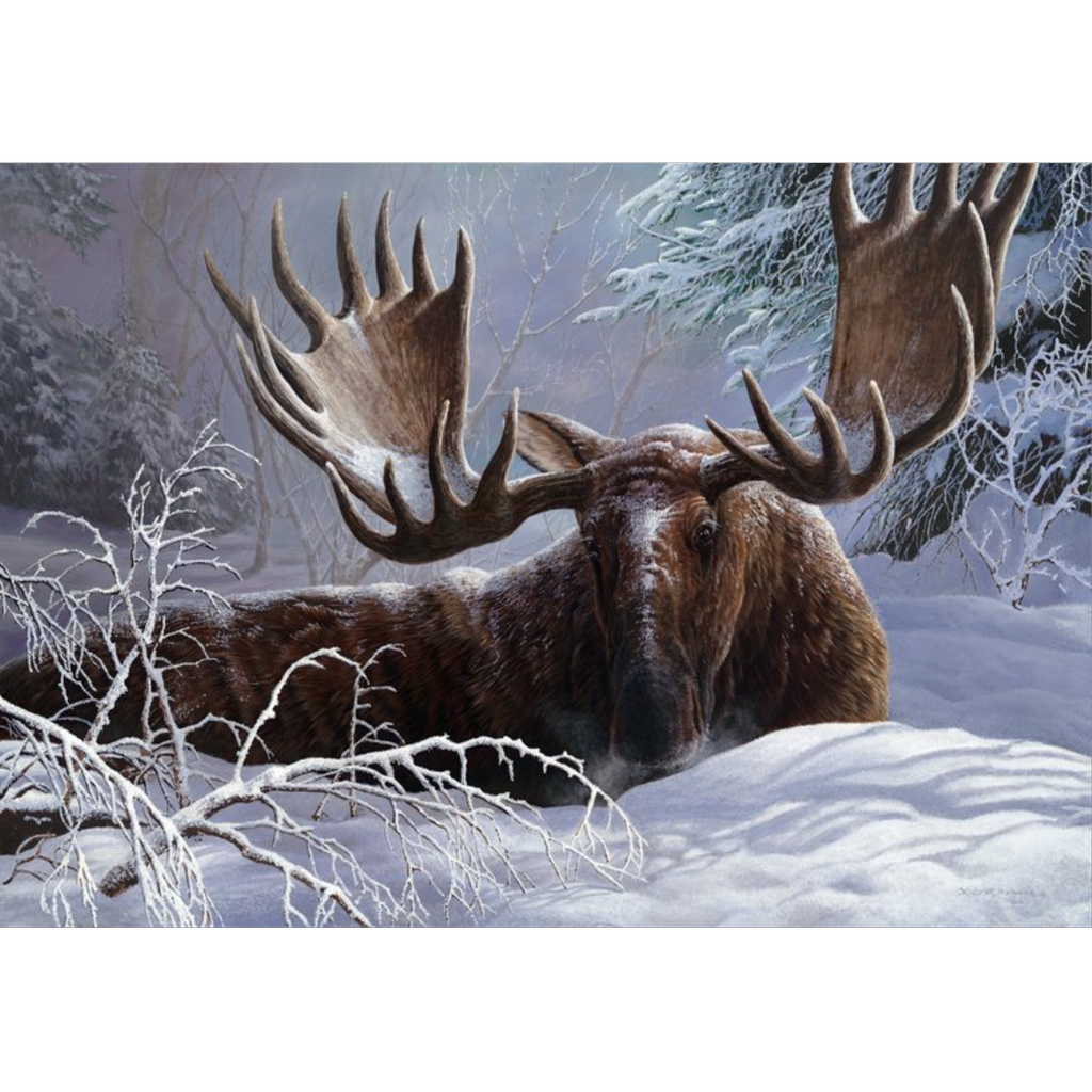 Winter Blanket by Chris Walden