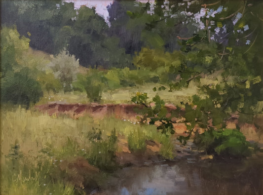 Summer Creek by Chuck Marshall