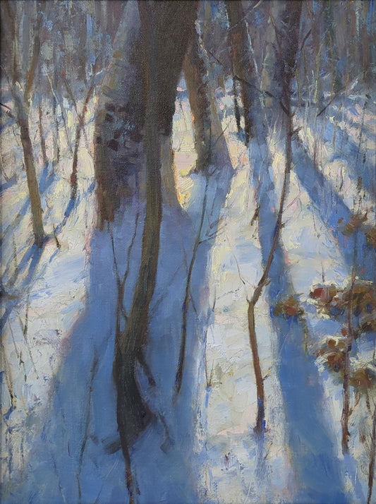 Winter Shadows by Chuck Marshall