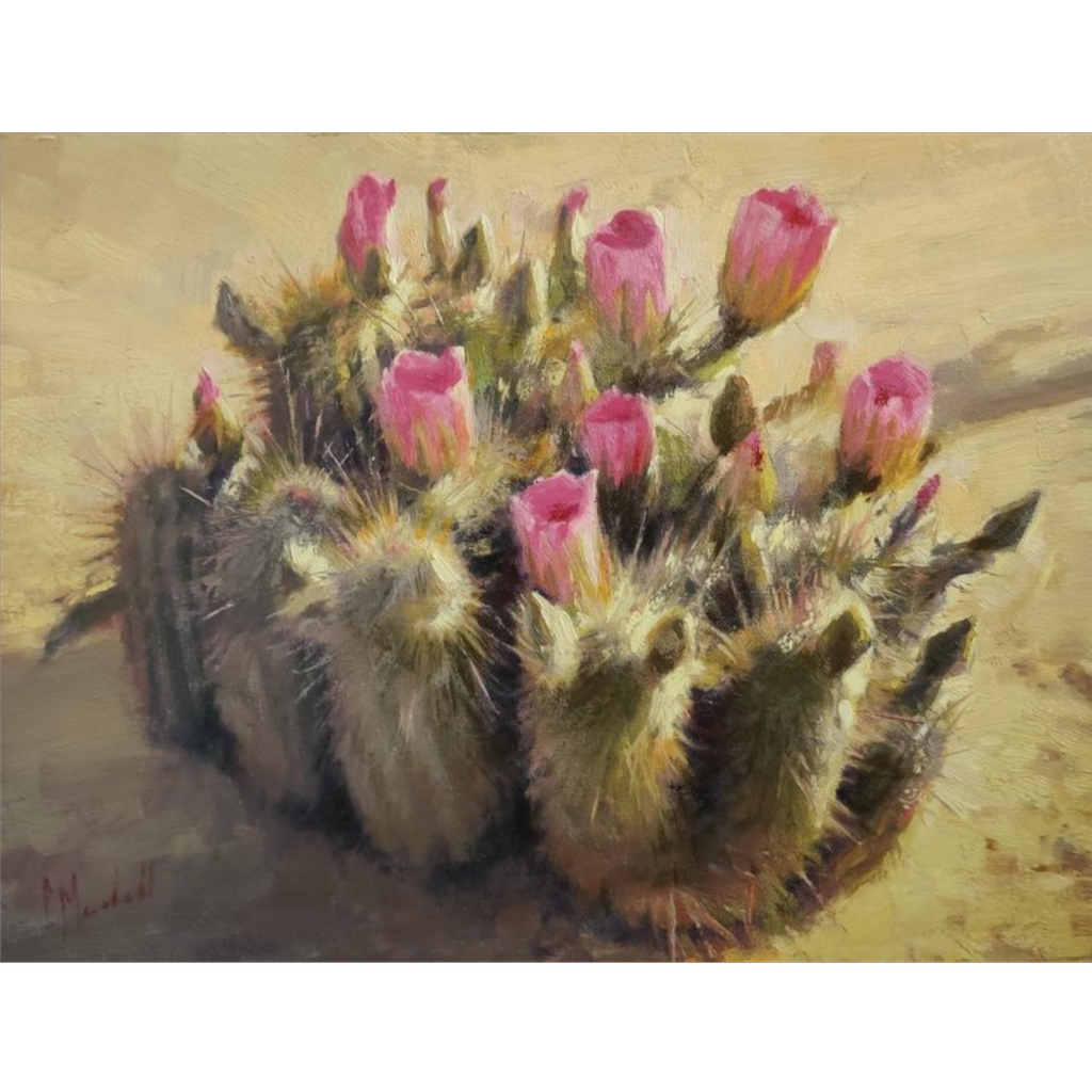 Blooming Cactus by Chuck Marshall