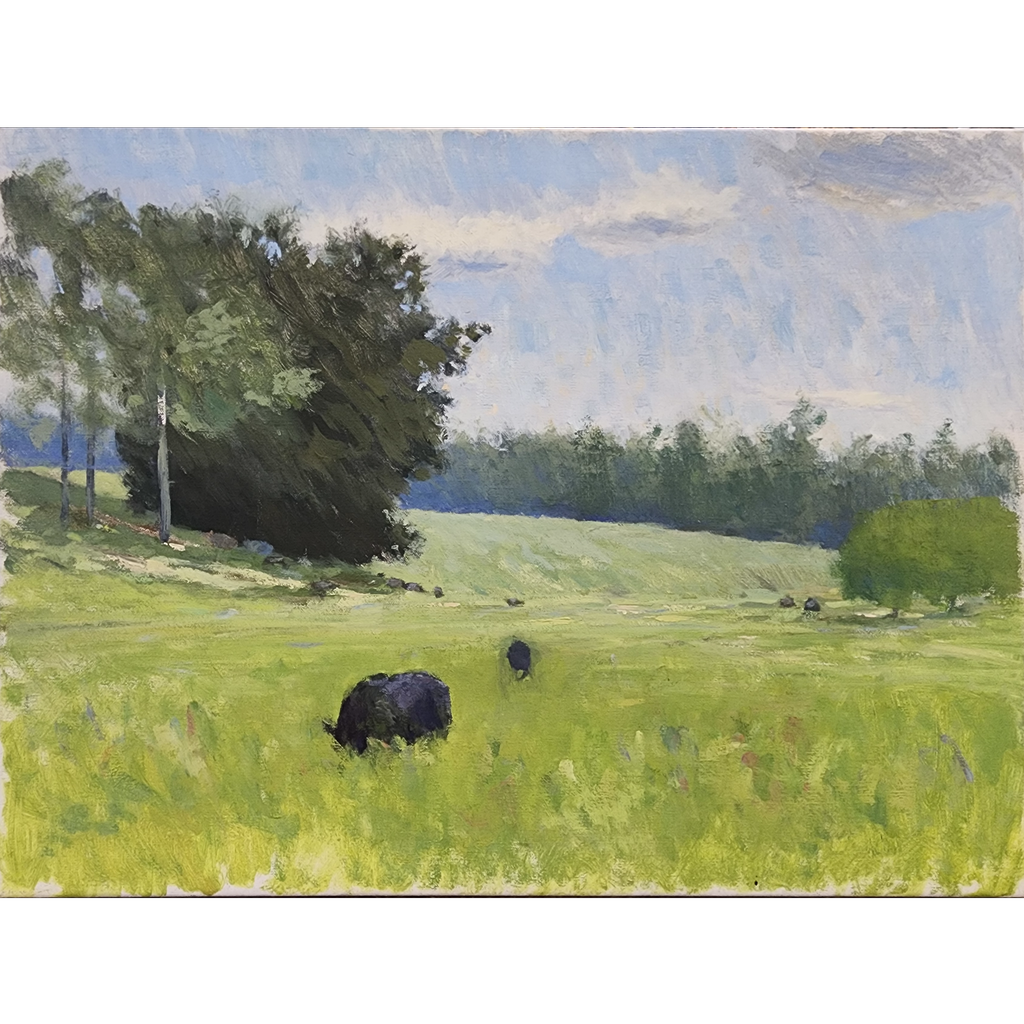 Cows in the Field by Nate Flanagan