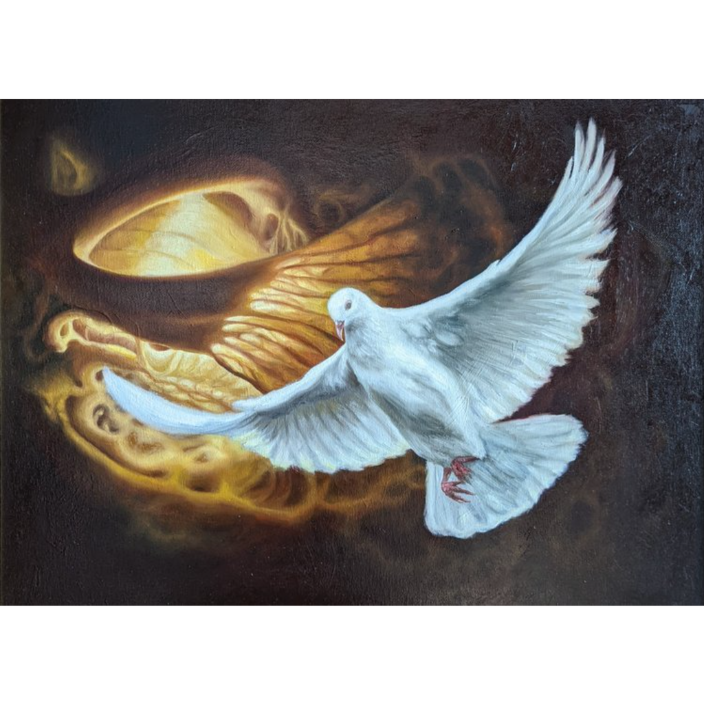 The Dove by Alison Shepard