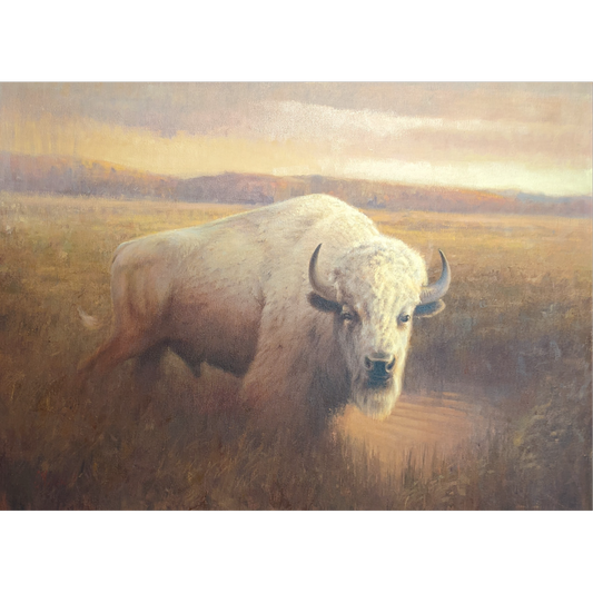 The White Buffalo by Chuck Marshall